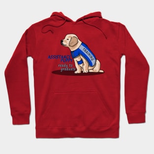 Assistance Puppy Ready to Graduate: Golden Retriever Cutie Hoodie